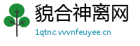 貌合神离网